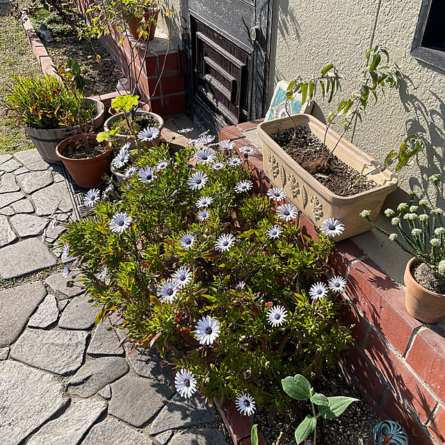 shin0719さんの部屋