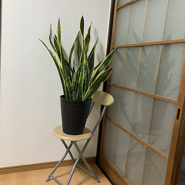 serenさんの実例写真