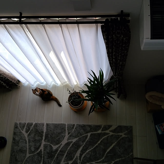 azumonaさんの実例写真