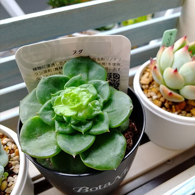meiさんの部屋