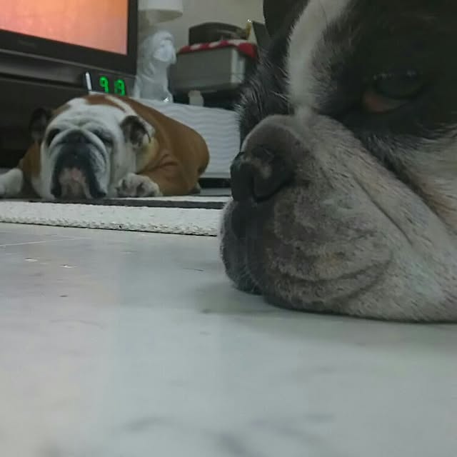 AandPさんの実例写真