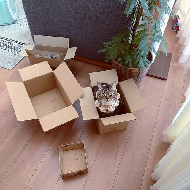 mochicoさんの実例写真