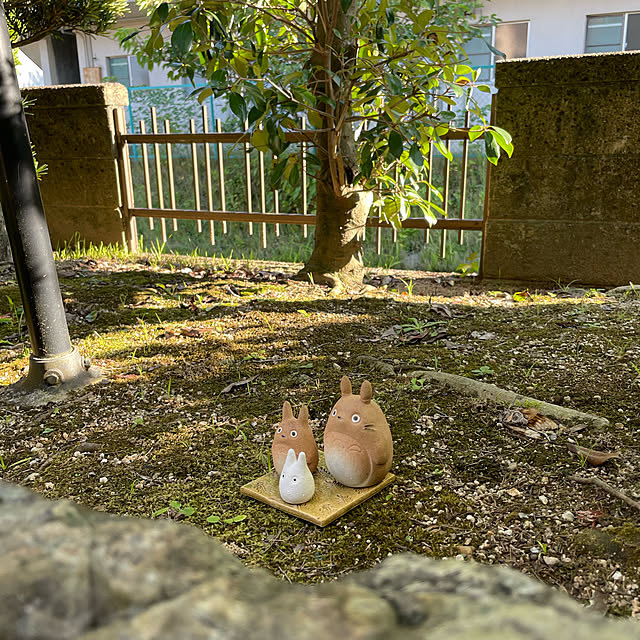 shin0719さんの実例写真