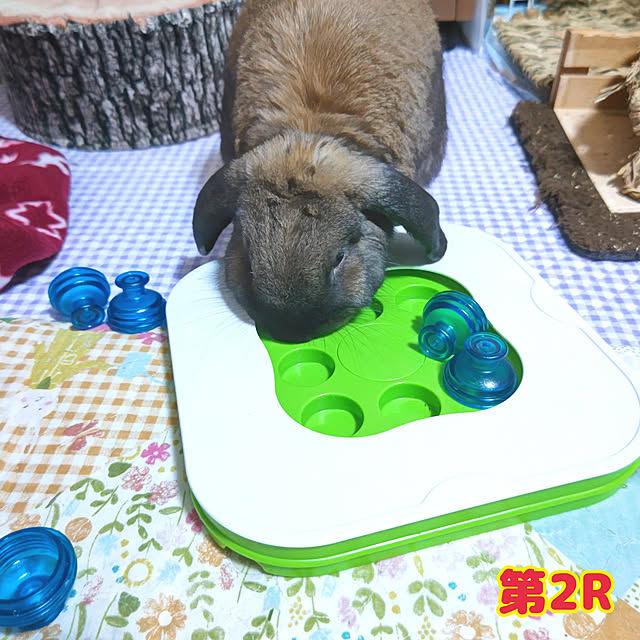 mariaさんの実例写真