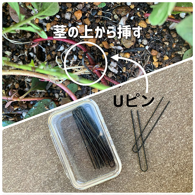 onsix777さんの部屋