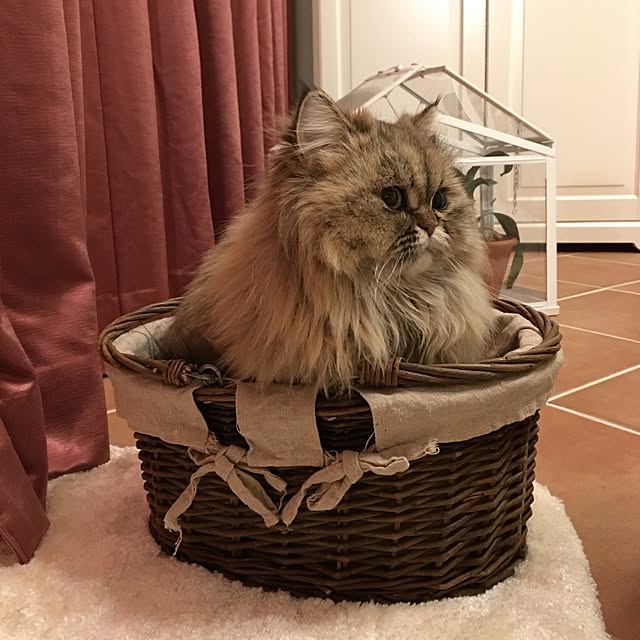 rukaさんの実例写真