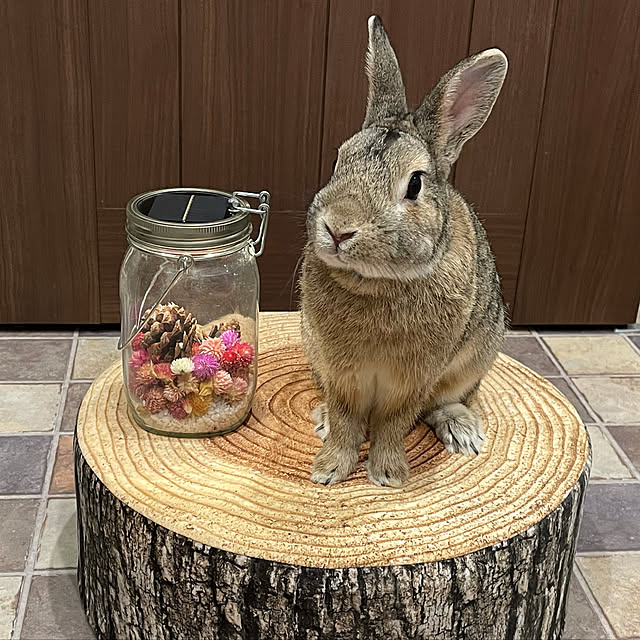 emiuraranさんの実例写真