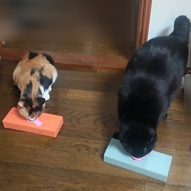 kurobonさんの実例写真