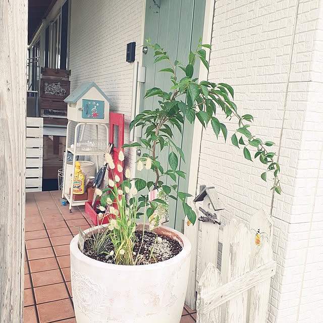 prepreさんの実例写真