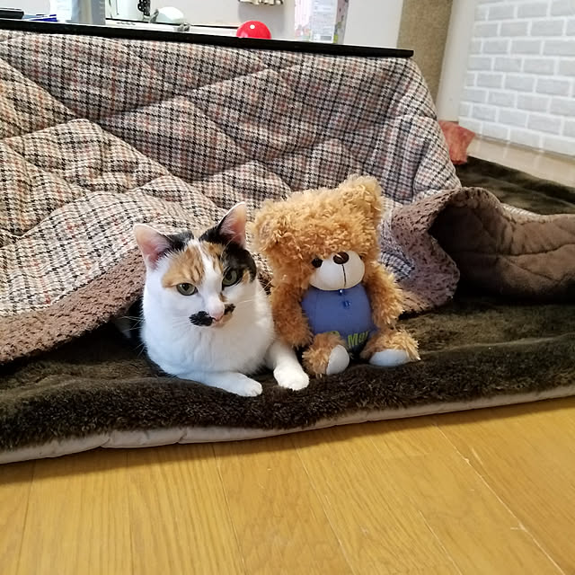 Kinanさんの実例写真