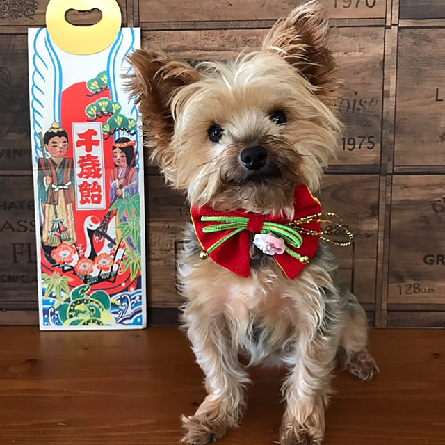 kimucciさんの実例写真