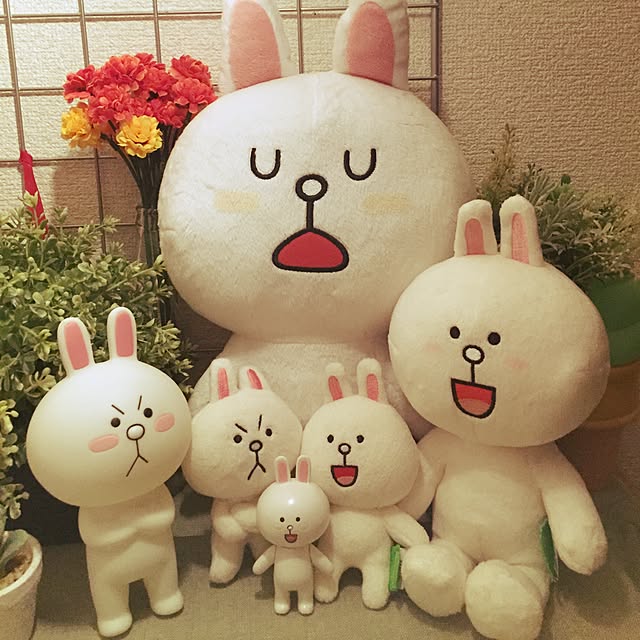 BRDCKK22さんの実例写真