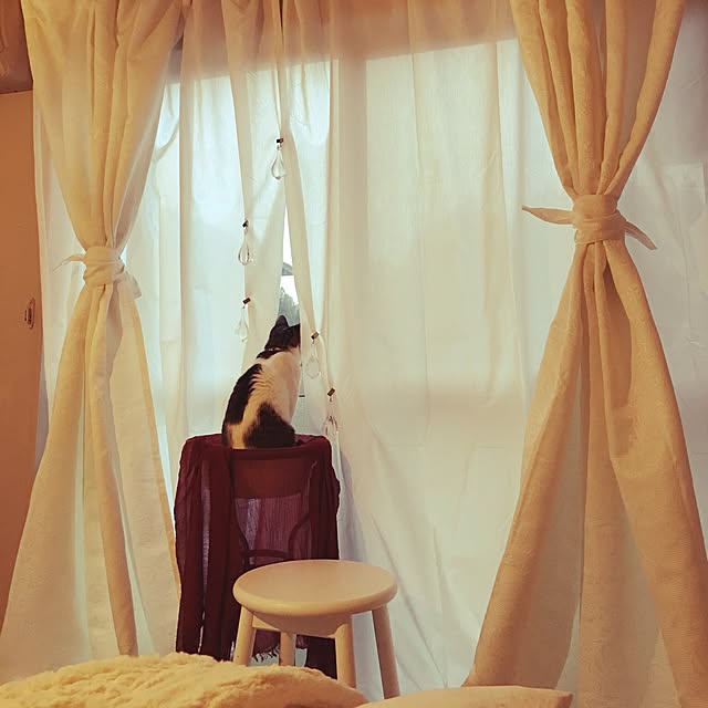 Shihoさんの実例写真