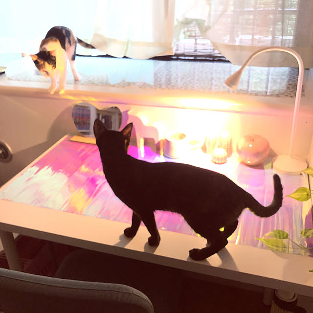 kanaさんの実例写真