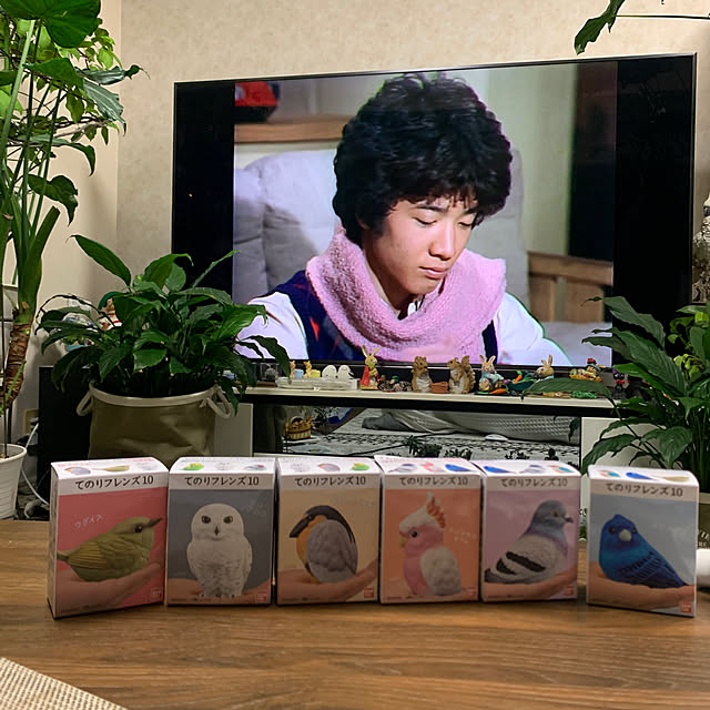 Aqettyさんの実例写真