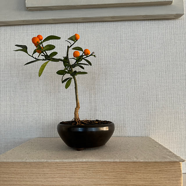 a-koさんの部屋