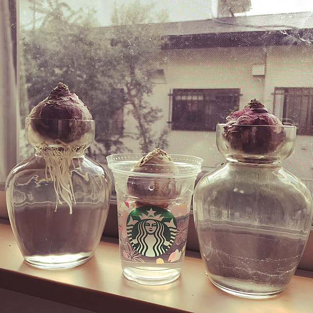 kujiraさんの実例写真