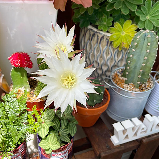 mamanさんの部屋