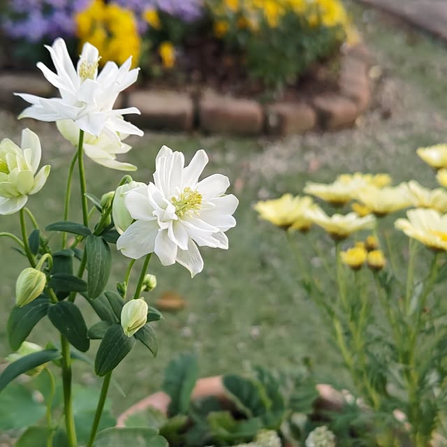 eriponさんの実例写真