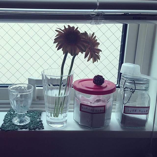canaさんの実例写真