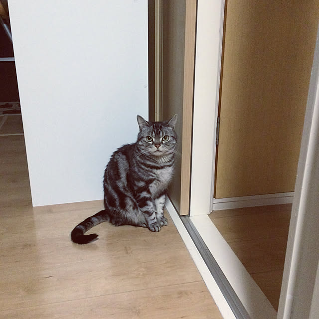 richanさんの実例写真