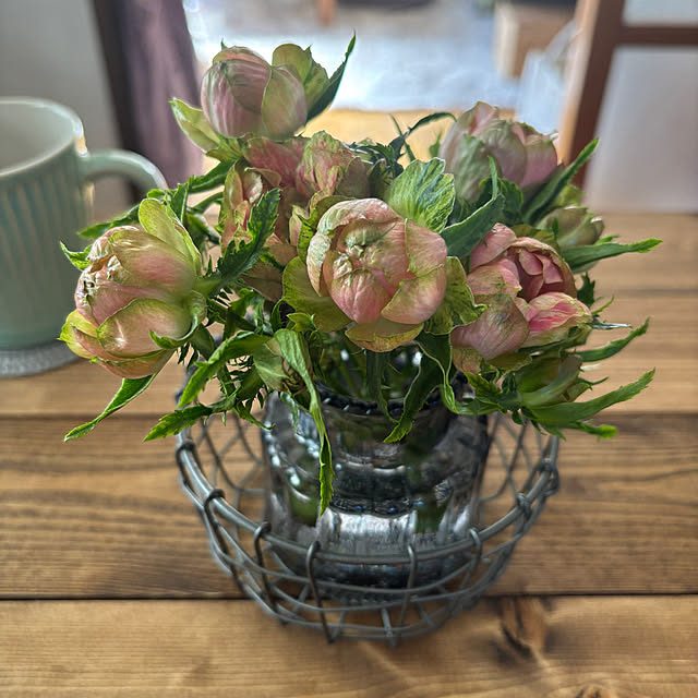 canetteさんの実例写真