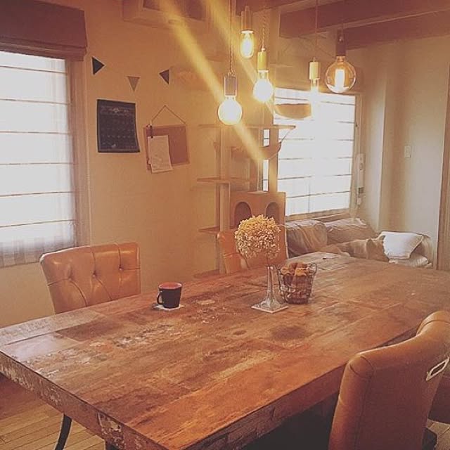 DailyRoomclip