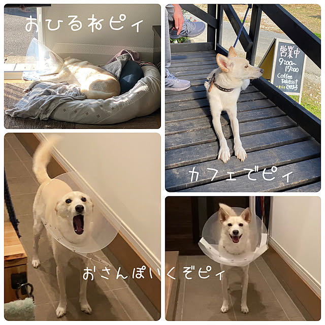 tanboさんの実例写真