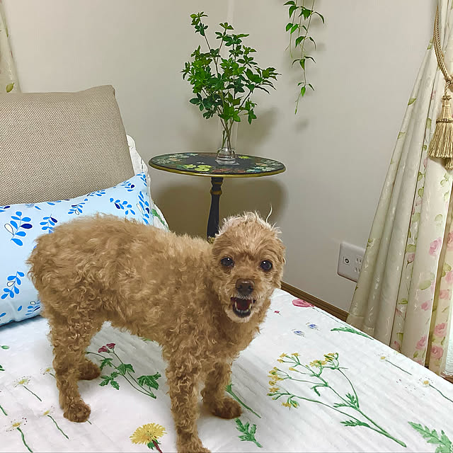 haruminさんの実例写真