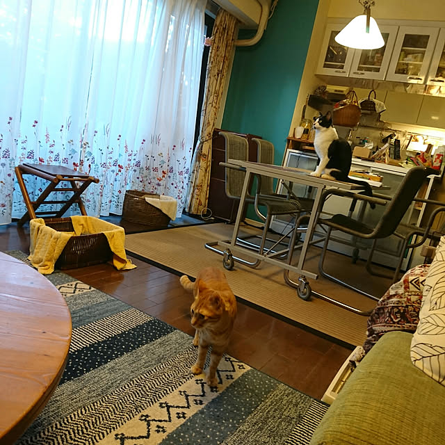 okyosan101さんの実例写真