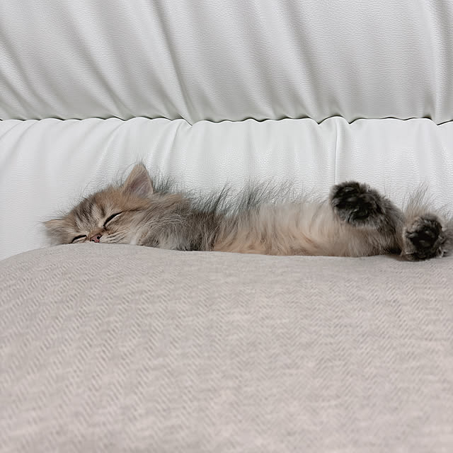 miyu39さんの実例写真