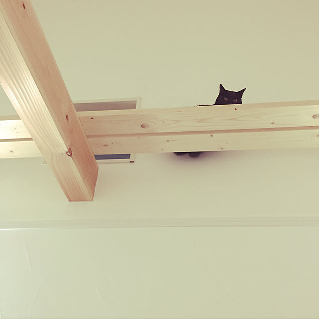 youri1213さんの実例写真