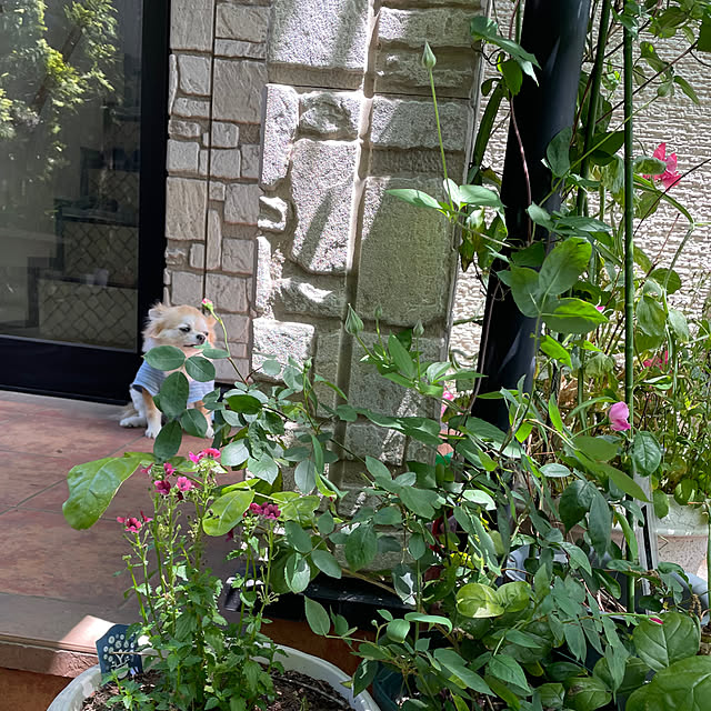 natsumiさんの実例写真