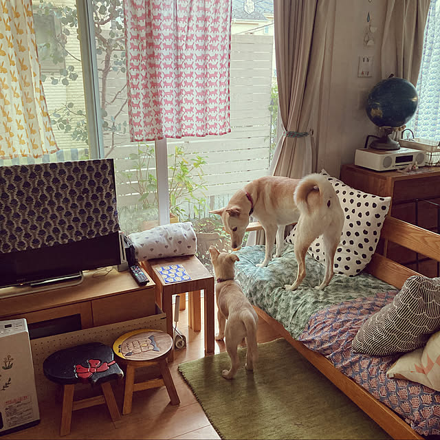 ym.fjさんの実例写真