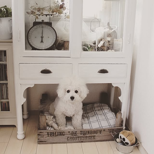 happy_bridgeさんの実例写真