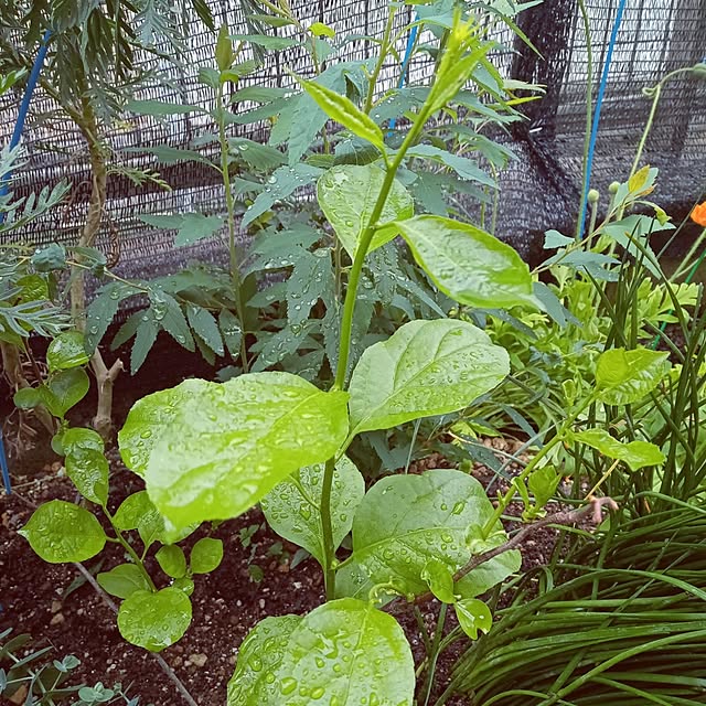 mocomocoさんの部屋