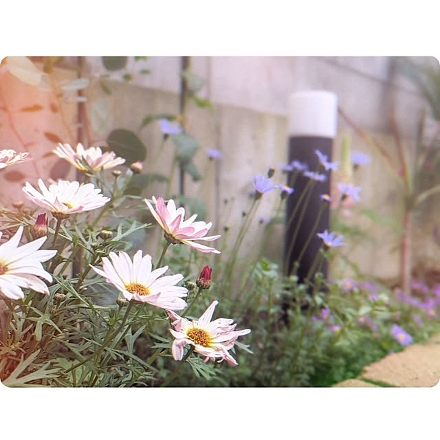 mokoさんの部屋