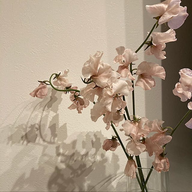 00さんの実例写真