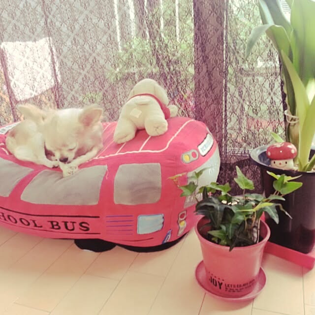 eriさんの実例写真