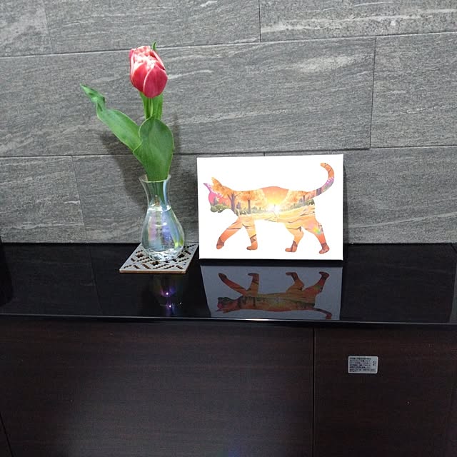 jkabmymycatさんの実例写真