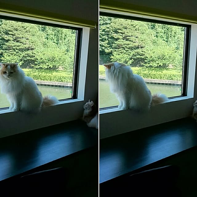 1ldksさんの実例写真