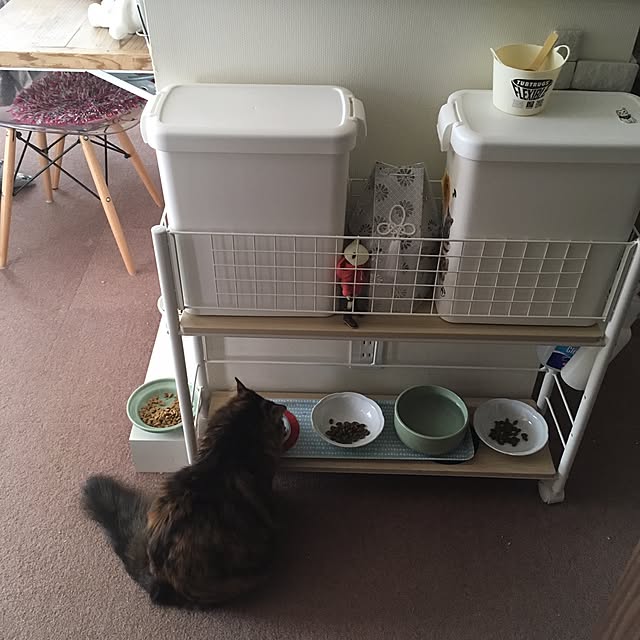 mikomaruさんの実例写真