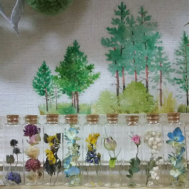 naopyiさんの実例写真