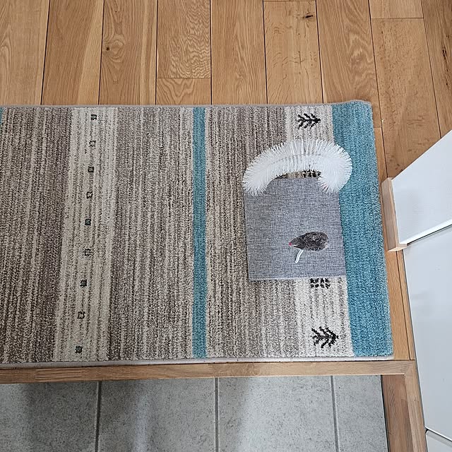 koyurizuさんの部屋