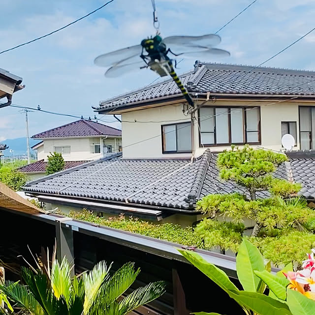 yukikoさんの部屋