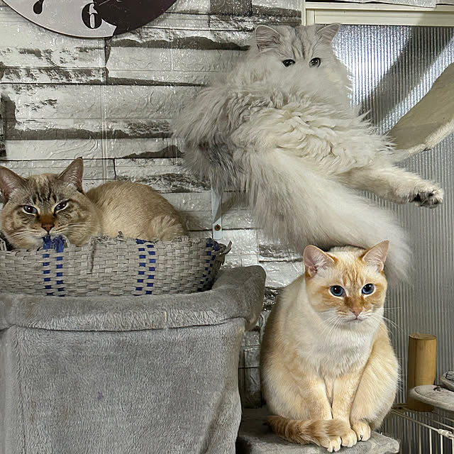 ikunyanさんの部屋