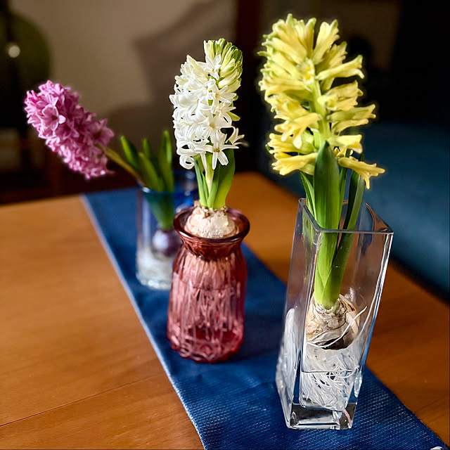 buchiさんの部屋