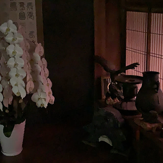 Baabaaさんの実例写真