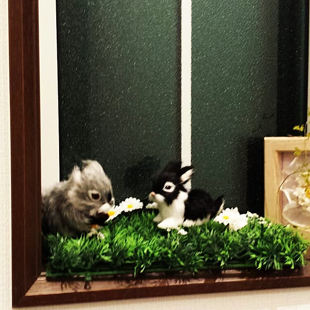 Masamiさんの実例写真