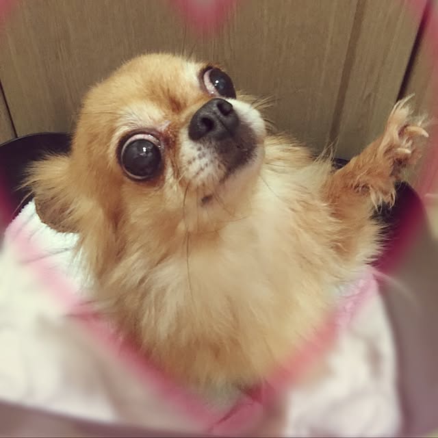 Yuiriさんの実例写真